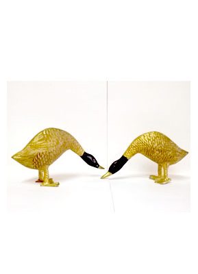 birds b figurein birds b figurein